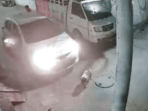 लुधियाना में बेजुबान पर बेरहमी का वीडियो:  पालतू कुत्ते को कार से कुचलते हुए 50 मीटर तक घसीटा, मौत, पड़ोसी पर आरोप – Ludhiana News