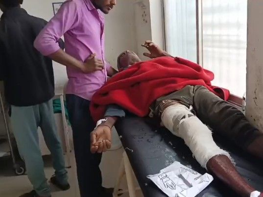 जंगल में किसान पर भालू ने किया हमला, हालत गंभीर