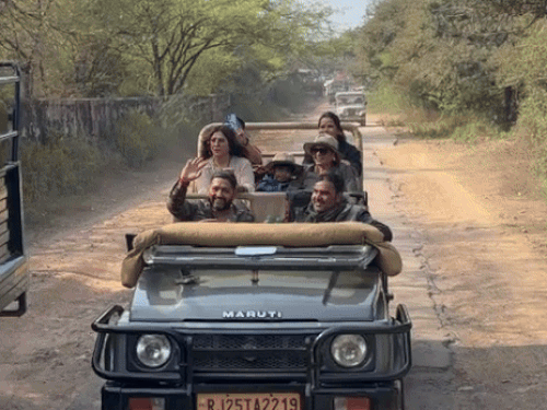 Ranthambore Tiger Safari | Ekta Kapoor Sees Tigress Riddhi & Cubs in Zone 4