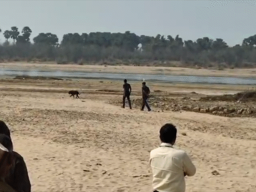 Gaya Woman Body Found Buried Near Phalg River; Police Search Missing List