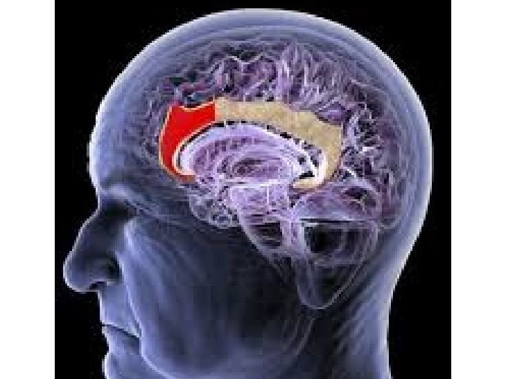 चीन वैज्ञानिकों का दावा-अल्ट्रासाउंड से डिप्रेशन-अल्जाइमर का इलाज:बिना सर्जरी पढ़ा जा सकेगा इंसानी दिमाग, चिप लगाने की जरूरत नहीं