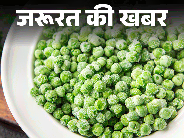 গুরুত্বপূর্ণ খবর – হিমায়িত মটর খাওয়া কি ভালো?: পুষ্টিবিদের কাছ থেকে জেনে নিন এগুলো ব্যবহারের সঠিক উপায়, কেনার সময় নিন এই ৬টি সতর্কতা।