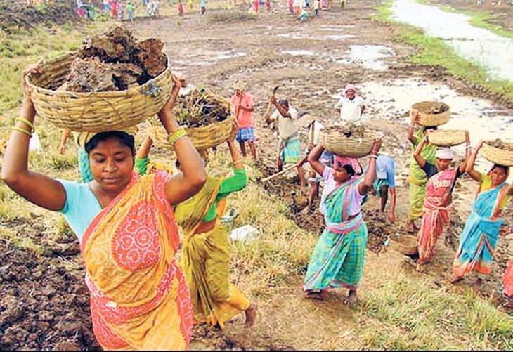 Scam: Dead people and jail inmates are digging ponds in Goindi, Tarhasi.