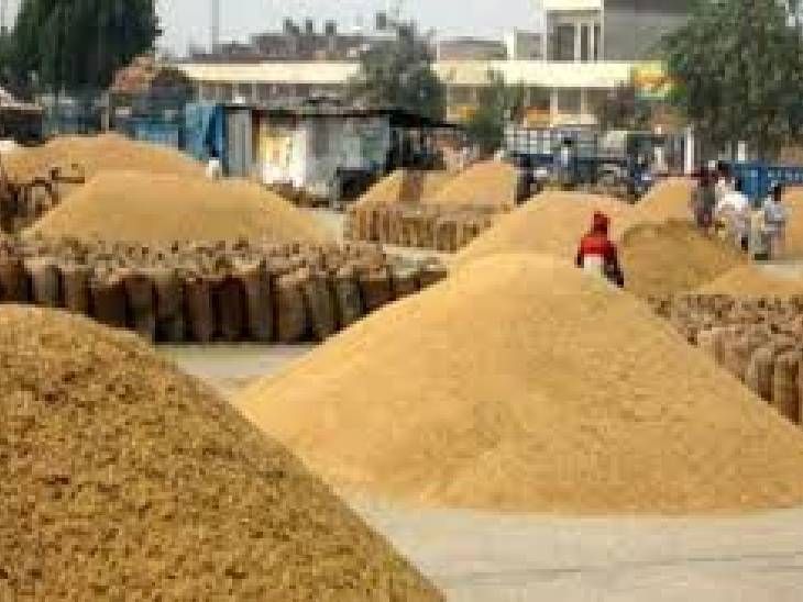 इंदौर में तीन दिनी ग्रेनेक्स इंडिया-2026 आज से:  चीन, टर्की, स्पेन, ताईवान की दाल, अनाज , फूड प्रोसेसिंग की एडवांस मशीनरी का होगा प्रेजेंटेशन – Indore News