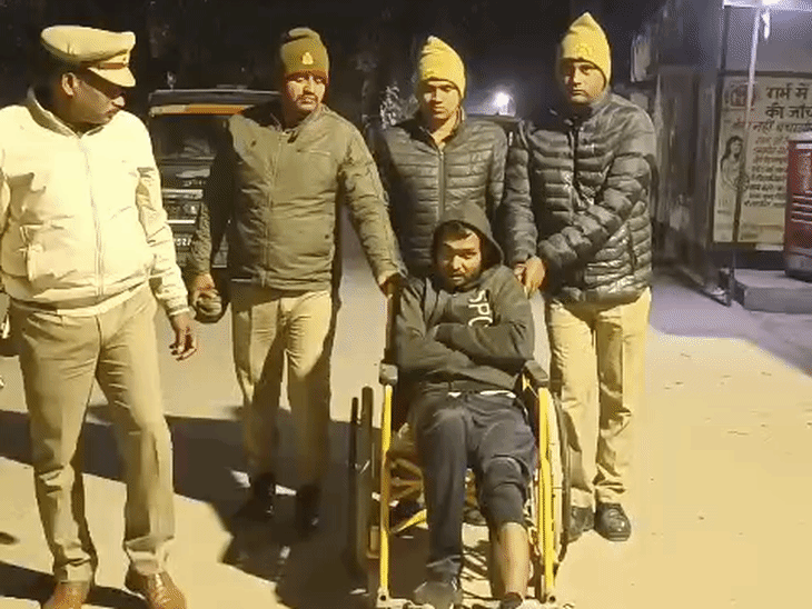Bhatpar Rani: Cows, Illegal Weapons Busted; Smugglers Arrested in ...