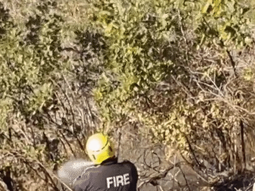 सर्दियों में उत्तराखंड बना जंगल की आग का हॉटस्पॉट:  1,900 फायर अलर्ट, देश में सबसे ज्यादा; नंदा देवी से फूलों की घाटी तक दिखी लपटें – Pithoragarh News