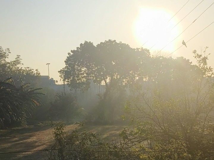 Mathura Weather Pleasant | Minimum Temp 13 Degrees