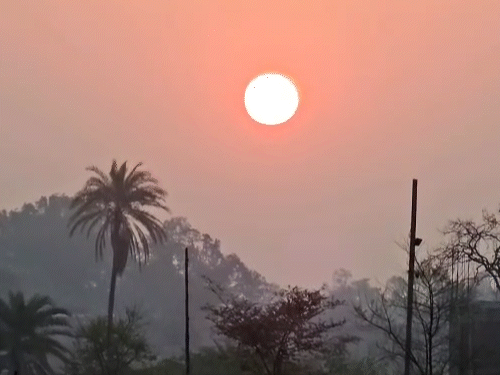 दिन गर्म, रातें ठंडी, अंबिकापुर में 7.5° पारा:  32.2° के साथ दुर्ग सबसे गर्म, 7 दिन अधिकतम तापमान में बदलाव के आसार नहीं – Chhattisgarh News