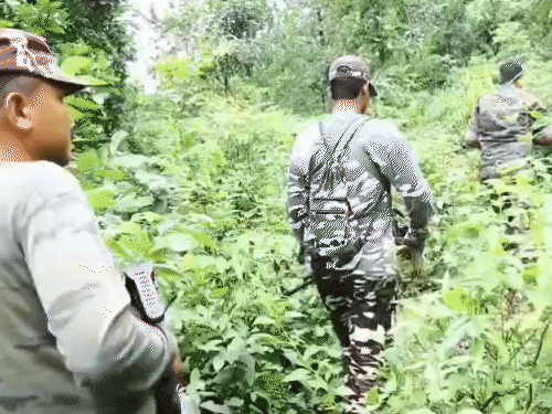 सारंडा के तिरिलपोसी गांव के जंगल में विस्फोट:  आईईडी ब्लास्ट में दो ग्रामीण गंभीर रूप से घायल, फूल लेने जंगल गए थे एक दर्जन ग्रामीण – Chaibasa (West Singhbhum) News