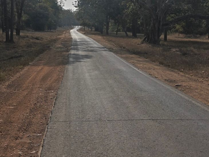 परासी-ताला मार्ग बदहाल, 10 किमी सफर जोखिम भरा:  बांधवगढ़ टाइगर रिजर्व जाने वाले पर्यटकों को शोल्डर कटने और गड्ढों से दिक्कत – Umaria News