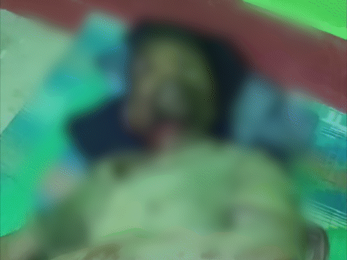 24 घंटे के भीतर एक को मारा, दूसरा घायल:  हजारीबाग के चुरचू में अब तक 7 लोगों की मौत, पांच हाथियों का झूंड मचा रहा तांडव – Hazaribagh News