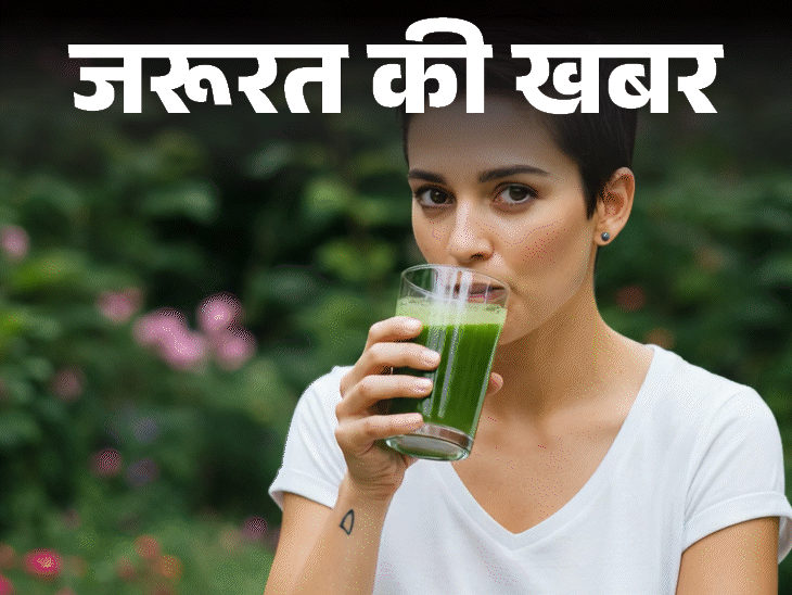 जरूरत की खबर- एलोवेरा जूस के 11 हेल्थ बेनिफिट्स:  डॉक्टर से जानें किन्हें नहीं पीना चाहिए, खरीदते हुए बरतें ये जरूरी सावधानियां