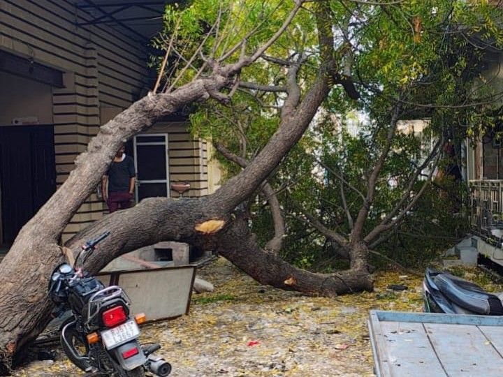 Devli Neem Tree Fall | Road Blocked, No Casualties