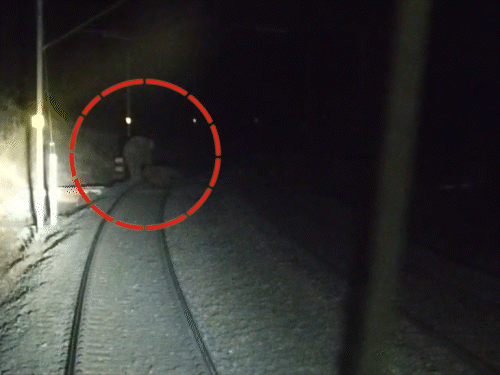 मालगाड़ी की टक्कर से हाथी के बच्चे की मौत:  खलारी में पटरियों पर पहुंचे हाथी, घंटों रूकी रही वंदे भारत जैसी ट्रेने, यात्री रहे परेशान – Ranchi News