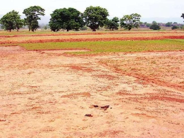 कारोबारी को मृत बताकर कॉमर्शियल प्लॉट का बनाया फर्जी बैनामा:  ग्वालियर के ट्रांसपोर्ट नगर में ₹62 लाख का प्लॉट किया अपने नाम, 6 पर FIR – Gwalior News