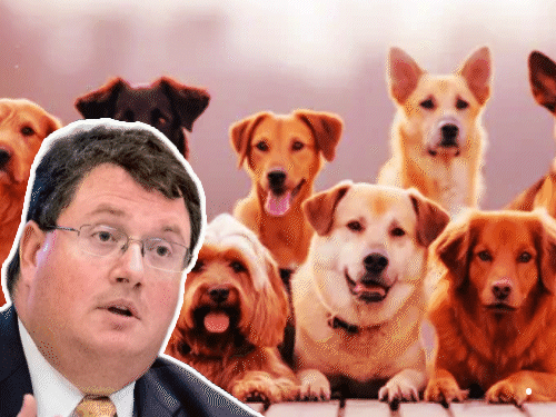 আমেরিকান এমপি বলেছেন – কুকুর এবং মুসলমানদের মধ্যে বেছে নেওয়া সহজ: ফিলিস্তিনি অ্যাক্টিভিস্টের ‘কুকুর নিষিদ্ধ’ পোস্টের প্রতিক্রিয়া; বিশেষজ্ঞ বলেছেন- এটা বর্ণবাদী, এমপির পদত্যাগ করা উচিত