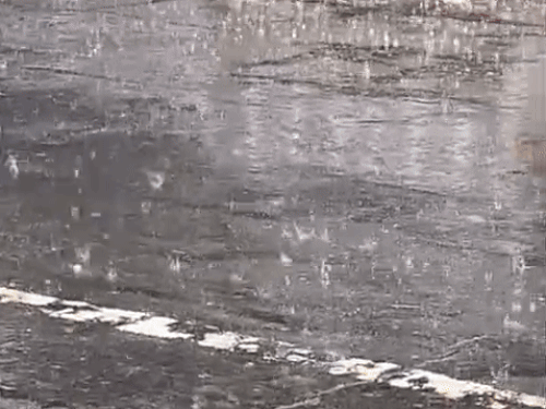 Haryana Weather: Rain, Hail in Bhiwani-Rewari; Temp Drops 7°C
