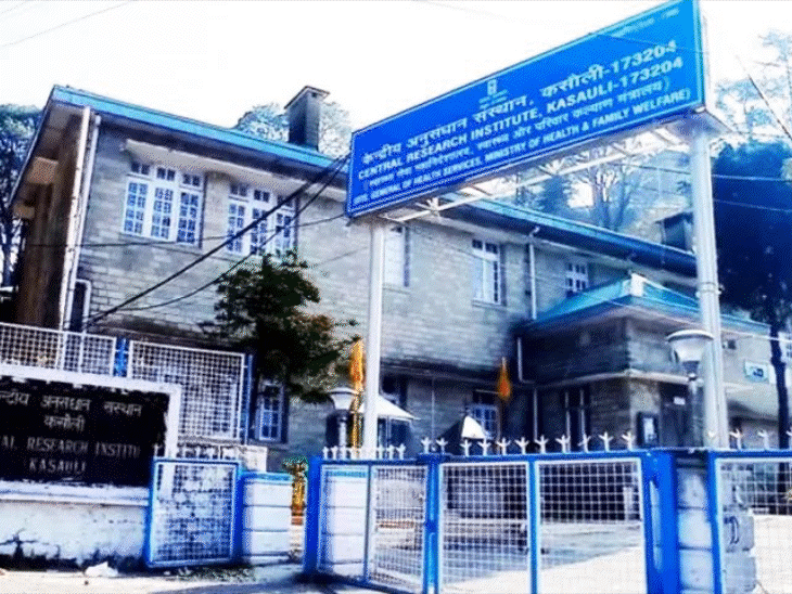 केंद्रीय मंत्री नड्डा आज नई वैक्सीन लॉन्च करेंगे:  CRI कसौली आएंगे, टीटनेस-डिफ़्थीरिया से मिलेगी सुरक्षा, यूनिवर्सल इम्यूनाइजेशन प्रोग्राम में उपलब्ध होंगे टीके – Kasauli News