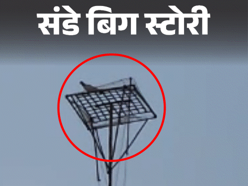 राजस्थान में कबूतर दौड़ का खतरनाक खेल:  छतों पर जाल बिछा फंसाते हैं, यूपी-एमपी से भी तस्करी, पंख काटकर सालभर ट्रेनिंग, लाखों की कमाई – Rajasthan News