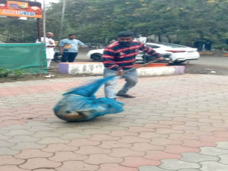 सिस्टम से तेज भागती आबादी:  70 हजार जन्म, नसबंदी सिर्फ 25 हजार; हर साल 45 हजार आवारा कुत्ते बढ़ रहे – Bhopal News