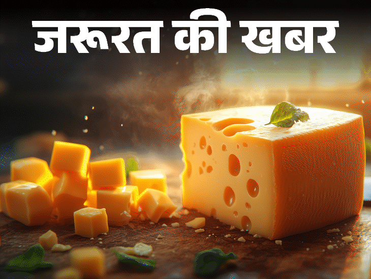 जरूरत की खबर- क्या चीज सेहत के लिए फायदेमंद है:  डाइटीशियन से जानें इसकी न्यूट्रिशनल वैल्यू, हेल्थ बेनिफिट्स, किसे नहीं खाना चाहिए