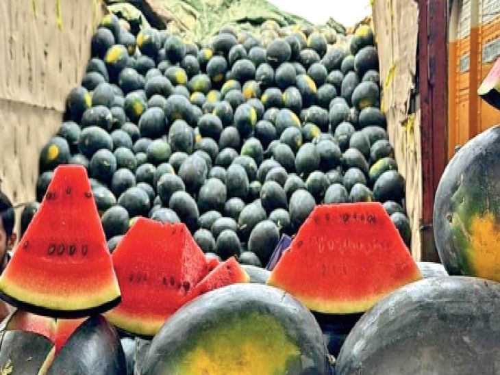 For the first time in February, such arrival of watermelon