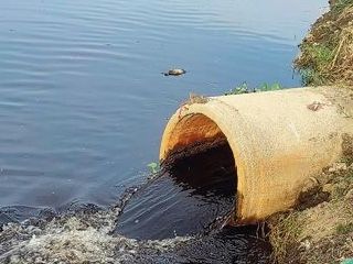 लुधियाना बुड्ढे दरिया में डेयरी वेस्ट बहाने पर प्रशासन सख्त:  XEN की रिपोर्ट पर दो डेयरी मालिक पर कार्रवाई मामला दर्ज – Ludhiana News