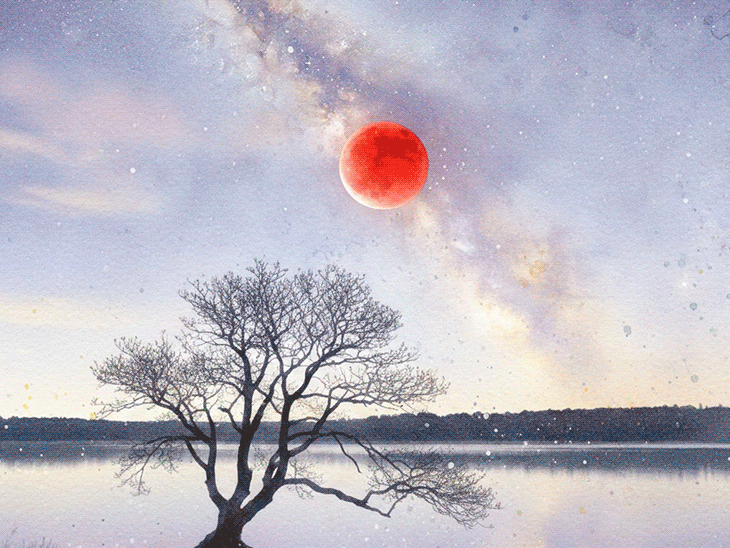 होली 2026: होलिका दहन 2 मार्च को, चंद्रग्रहण के कारण होली 4 मार्च को! - SadhnaNEWS Hindi News