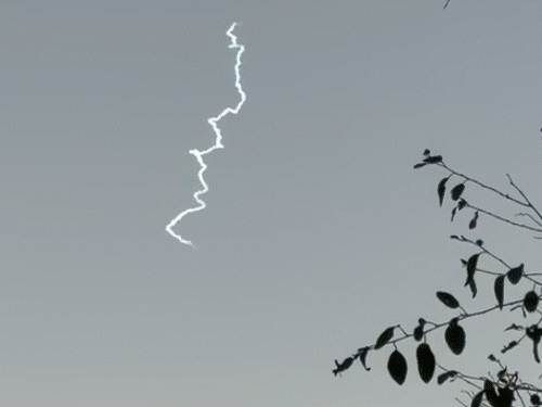 आज भी दुबई में फंसे रहेंगे एमपी के लोग:  शारजाह से इंदौर आने वाली एयर इंडिया एक्सप्रेस की फ्लाइट आज भी कैंसिल, विजयवर्गीय संपर्क में – Indore News