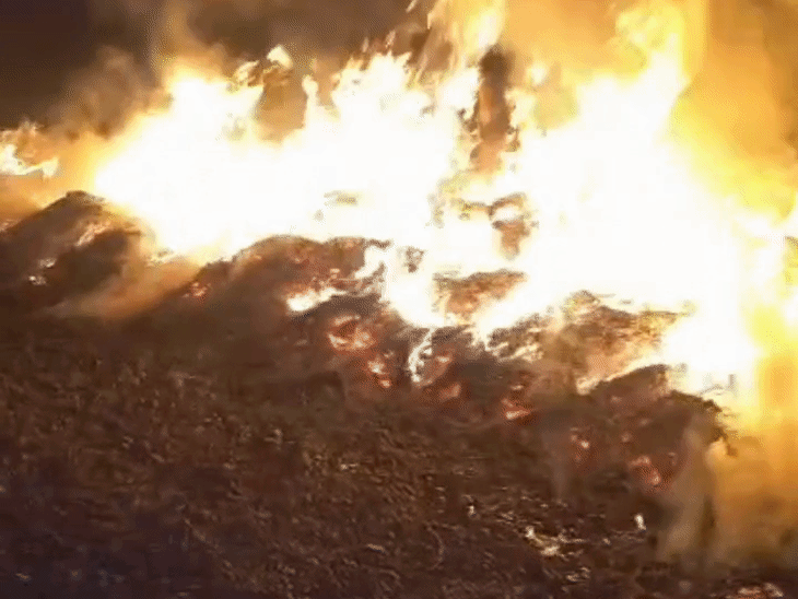 खरगोन में खेत में काटकर रखी फसल में आग:  2 लाख से ज्यादा का नुकसान, किसान ने बटाई पर लिया था खेत – Khargone News