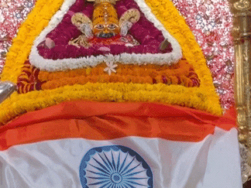 राजस्थान में क्रिकेट फैंस कर रहे हवन, मंदिरों में भजन-कीर्तन:जयपुर से कमेंट्री करेंगे हरभजन, पटाखों के लिए भीड़, अहमदाबाद फ्लाइट टिकट महंगी