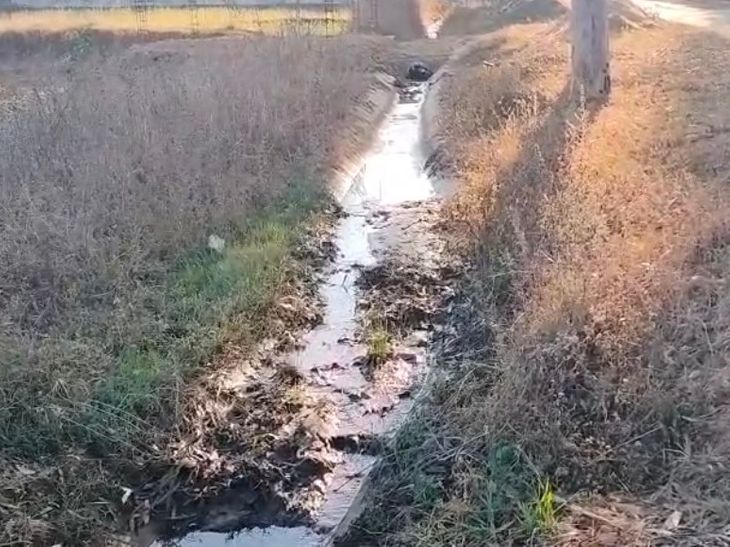 कुसमी के जूरी बांध नहर निर्माण में घटिया सामग्री का:  ग्रामीणों ने जिला पंचायत सीईओ से शिकायत की, 65 लाख के काम पर सवाल – Sidhi News