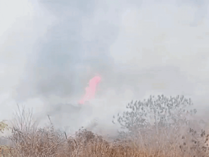 उदयपुर में बड़ी की पहाड़ियों पर आग लगी:  दो दमकल बुलाई लेकिन आग ऊंचाई पर थी, शाम तक धीमे हुई आग – Udaipur News