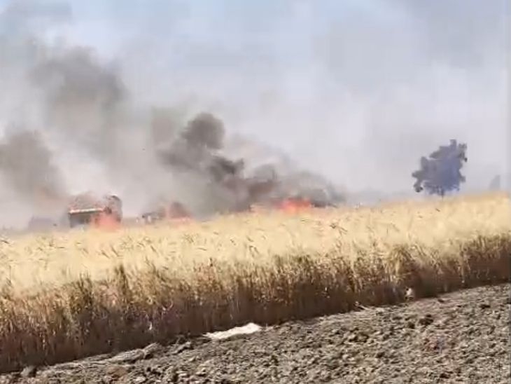 गेहूं की फसल बचाने दिन में बंद रहेगी बिजली सप्लाई:  सीहोर में गेहूं की खड़ी फसल में आग की घटनाएं बढ़ीं, कलेक्टर ने कहा-सतर्कता बरतें – Sehore News