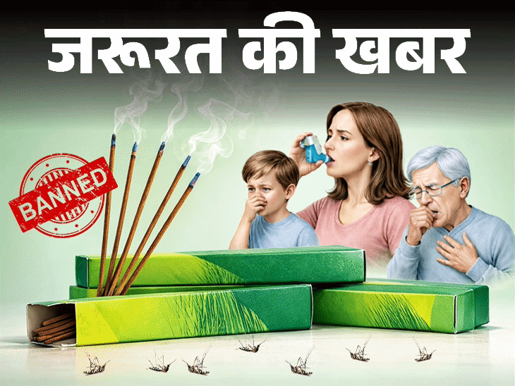 जरूरत की खबर- ‘मच्छर अगरबत्तियों’ में खतरनाक केमिकल्स:  खरीदने से पहले चेक करें ये 7 चीजें, नेचुरल तरीकों से मच्छर भगाने के 11 टिप्स