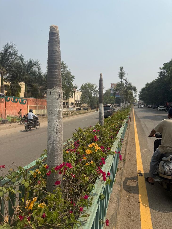 Mischief against the beauty of the city: miscreants broke flower pots ...