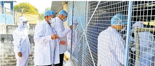 Bird flu confirmed in 300 chickens near Phulwari jail, over 800 crows ...