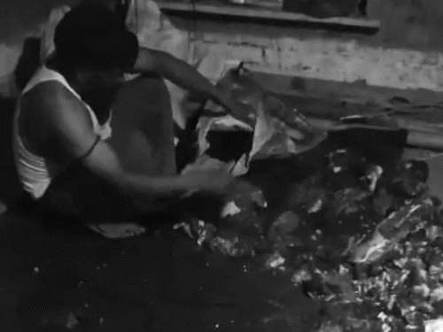 मुरैना में फ्रिज में 2 क्विंटल नीलगाय का मांस मिला:  सिर और चमड़ी भी बरामद; चंबल के बीहड़ में शिकार कर होटलों में करते थे सप्लाई – Morena News