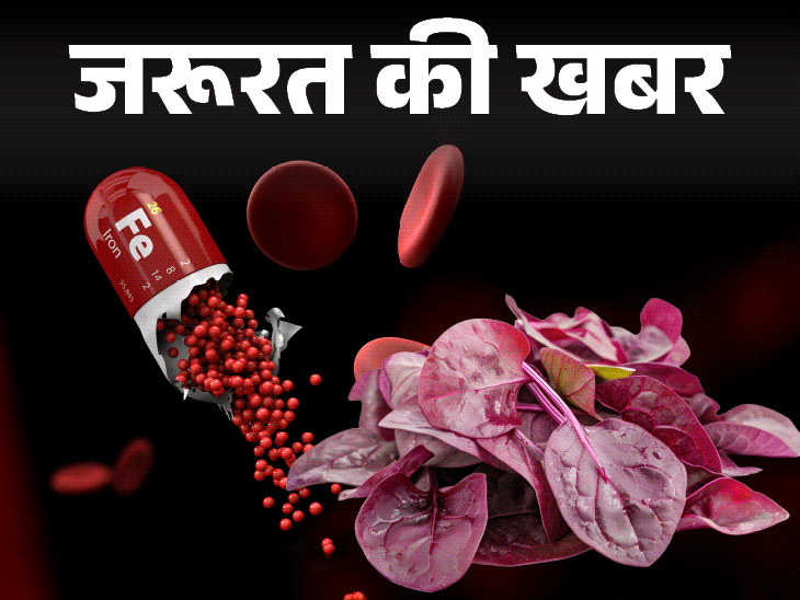 जरूरत की खबर- आयरन डेफिशिएंसी के 12 संकेत:  न करें इग्नोर, हो सकता है एनीमिया, इंफेक्शन, डाइट में शामिल करें रेड लीफी ग्रीन्स