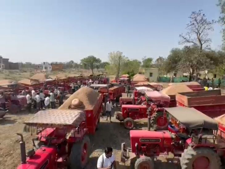 छतरपुर में अवैध रेत कारोबार पर बड़ी कार्रवाई:  प्रशासन ने जब्त किए दो दर्जन से ज्यादा ट्रैक्टर; पुलिस को देखकर भागे चालक – Chhatarpur (MP) News