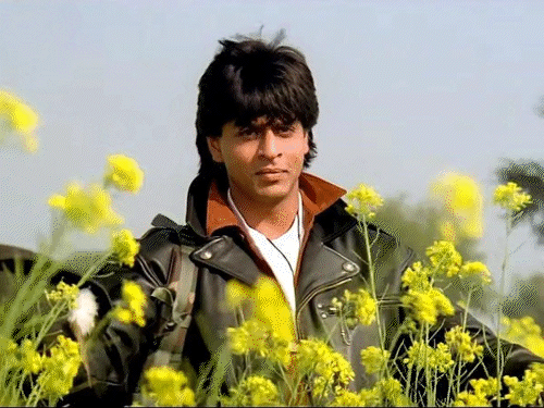 शाहरुख खान फिर करेंगे रोमांस, विंटेज लुक में नई फिल्म! - HeadlinesNow Hindi News