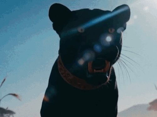 মুসওয়ালার হলোগ্রাম ট্যুর প্রকাশিত, 2 কোটি ভিউ: পাঞ্জাবি গায়ককে প্রথমবার পাকিস্তানে দেখা যাবে, মৃত্যুর আগে আসার প্রতিশ্রুতি দিয়েছিলেন