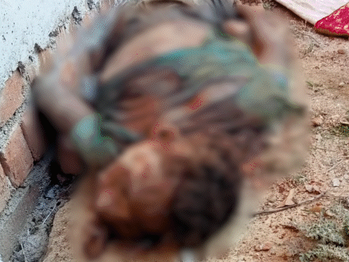 झारखंड में हाथियों का कहर, 2 को कुचला:  कोडरमा में देर रात हाथी के हमले से महिला और मजदूर की मौत, गुमला में बुजुर्ग गंभीर – koderma News