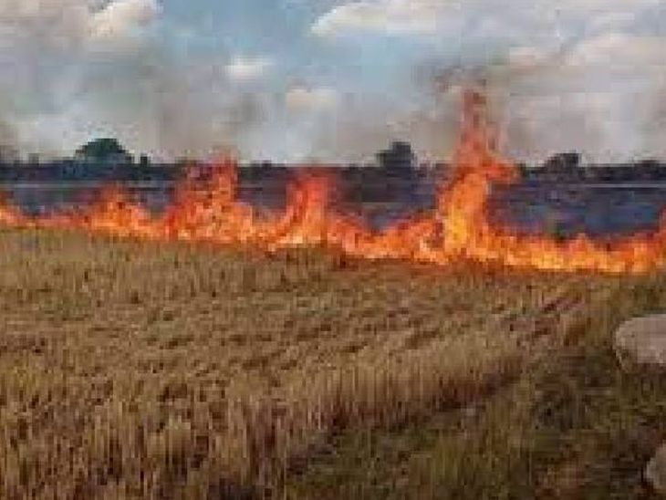 भोपाल में पराली जलाने पर रोक:  एडीएम ने 3 महीने के लिए प्रतिबंध लगाया; उल्लंघन पर होगी FIR – Bhopal News