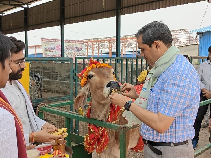 Mathura DM Inspects Devaraha Baba Gaushala; Ramnavami Gau Pujan