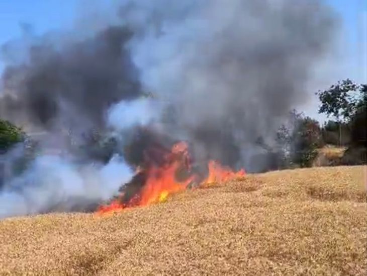 Betul Fire: Farms Damaged in Shahpur, Chicholi Due to Electricity Sparking