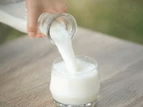 सेना ने लौटाया पंजाब का दूध, वेरका के सैंपल फेल:कहा- 7 दिन में वापस ले जाएं; विवाद बढ़ा तो सरकार ने जांच कमेटी बनाई