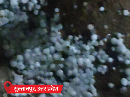 हिमाचल समेत 7 राज्यों में ओलावृष्टि का ऑरेंज अलर्ट:MP के 40 जिलों में 3 दिन बारिश की चेतावनी; UP के 3 जिलों में ओले गिरे