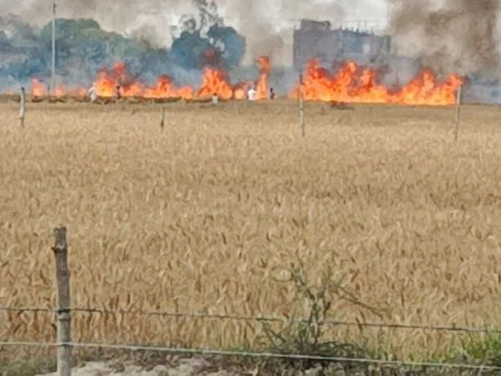 Baidwar Crop Fire | Hundreds of Bigha Burned; Farmers Blame Negligence