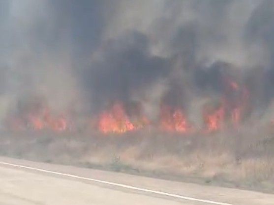 पन्ना की सकरिया हवाई पट्टी पर भीषण आग:  आग बुझाते समय फायरमैन घायल; साथियों ने पहुंचाया अस्पताल – Panna News